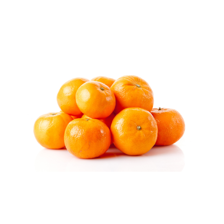 CLEMENTINE ESPAGNE