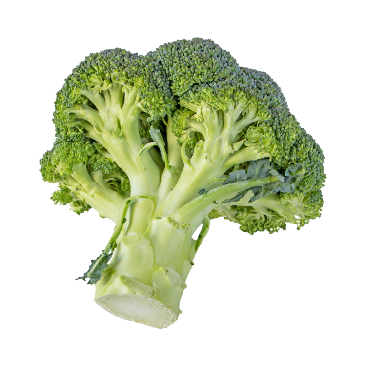 BROCOLI 6KG CAT II