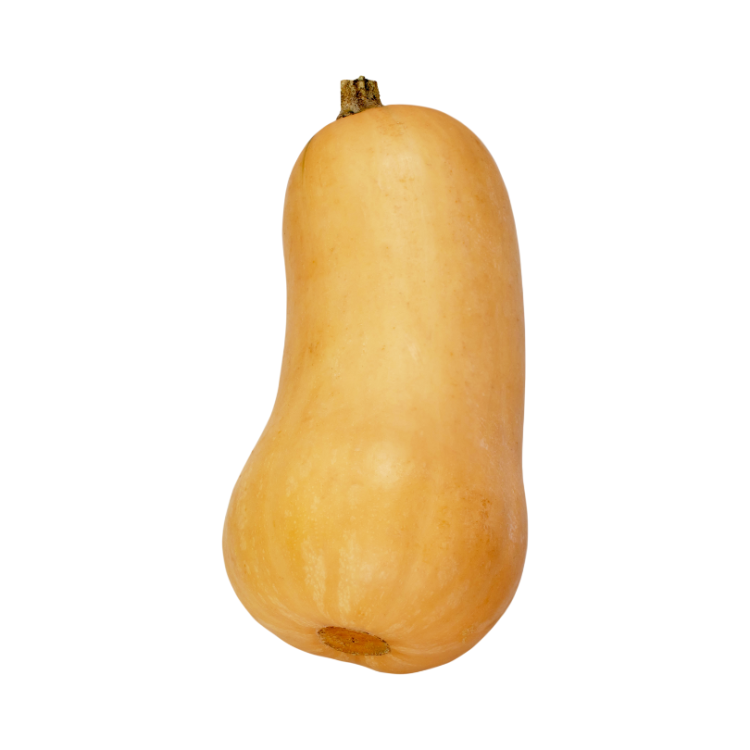 COURGE BUTTERNUT