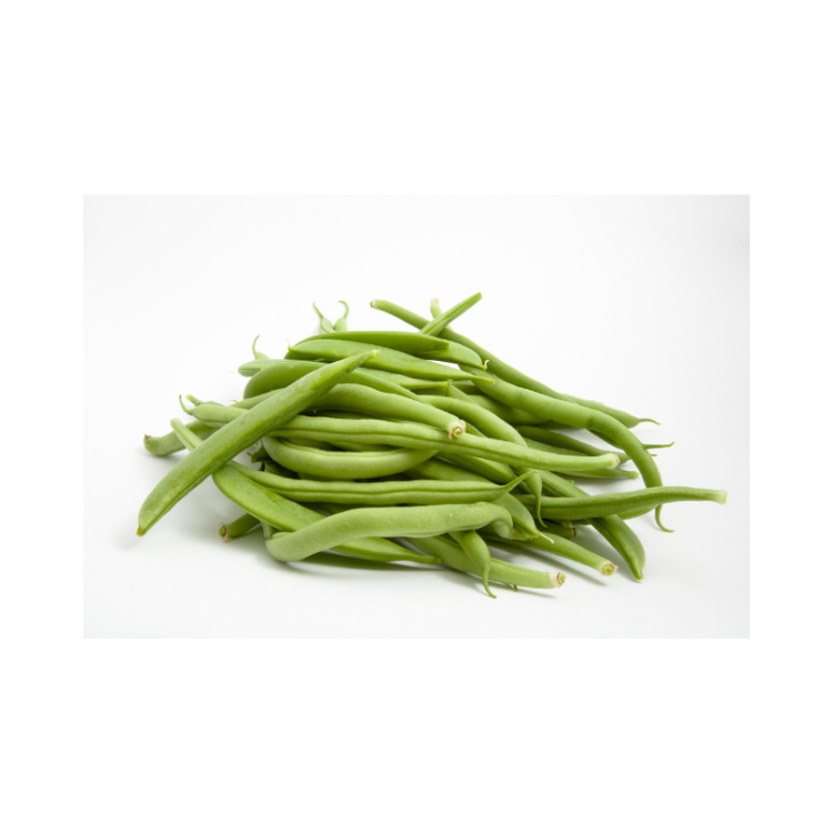 HARICOT VERT BIO