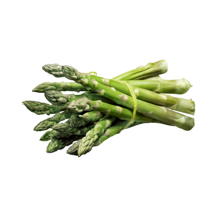 Asperge verte botte 500g - Bio - Italie