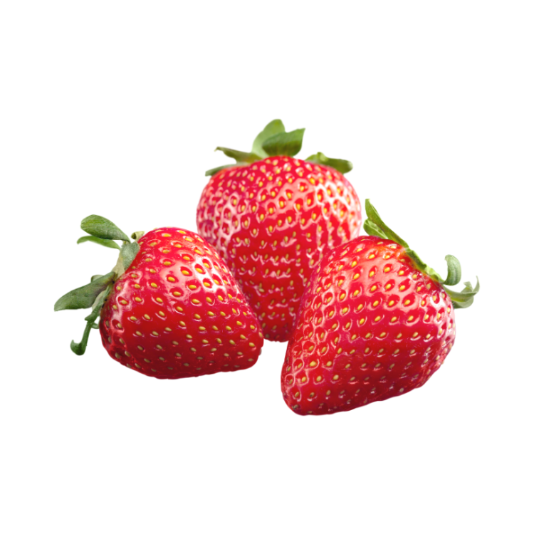 FRAISE CIFLORETTE  BARQX250G - FRANCE